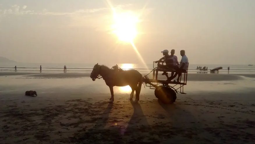 Horse cart on Revdanda beach